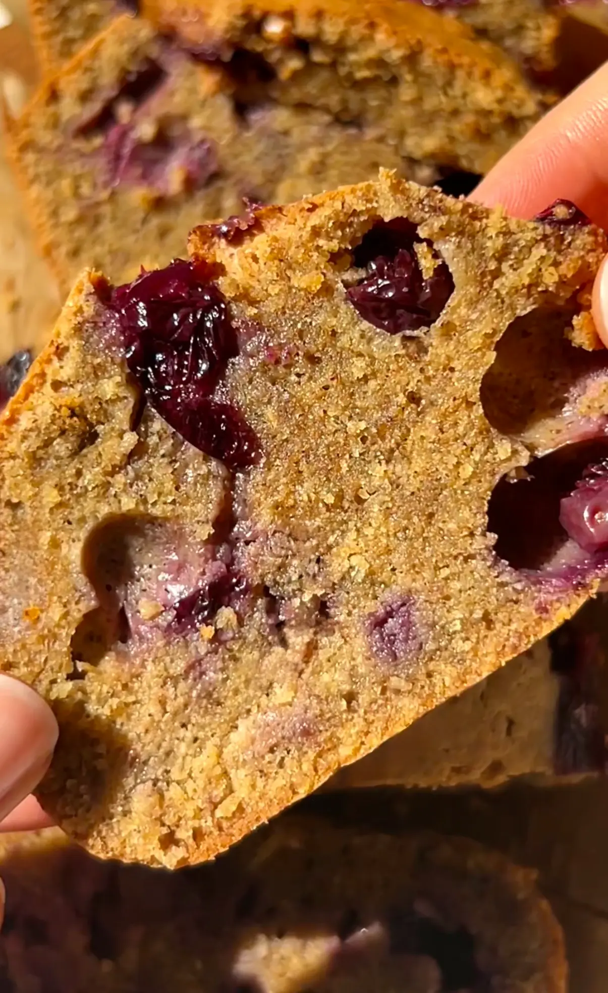 A hand holding a slice of mini blueberry olive oil loaf cake showing the golden crumb with jammy blueberries throughout